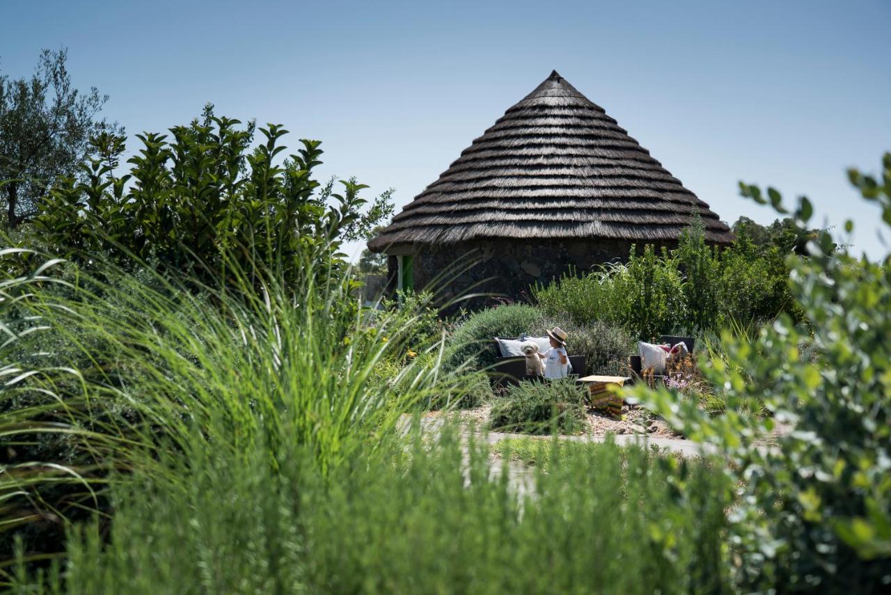 Is Cheas Wine Farm Boutique Hotel San Vero Milis Eksteriør bilde