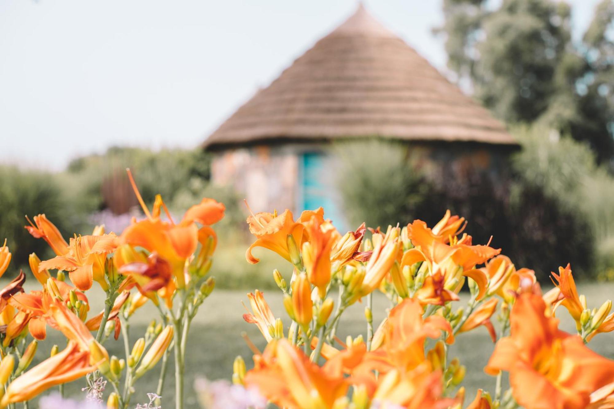 Is Cheas Wine Farm Boutique Hotel San Vero Milis Rom bilde