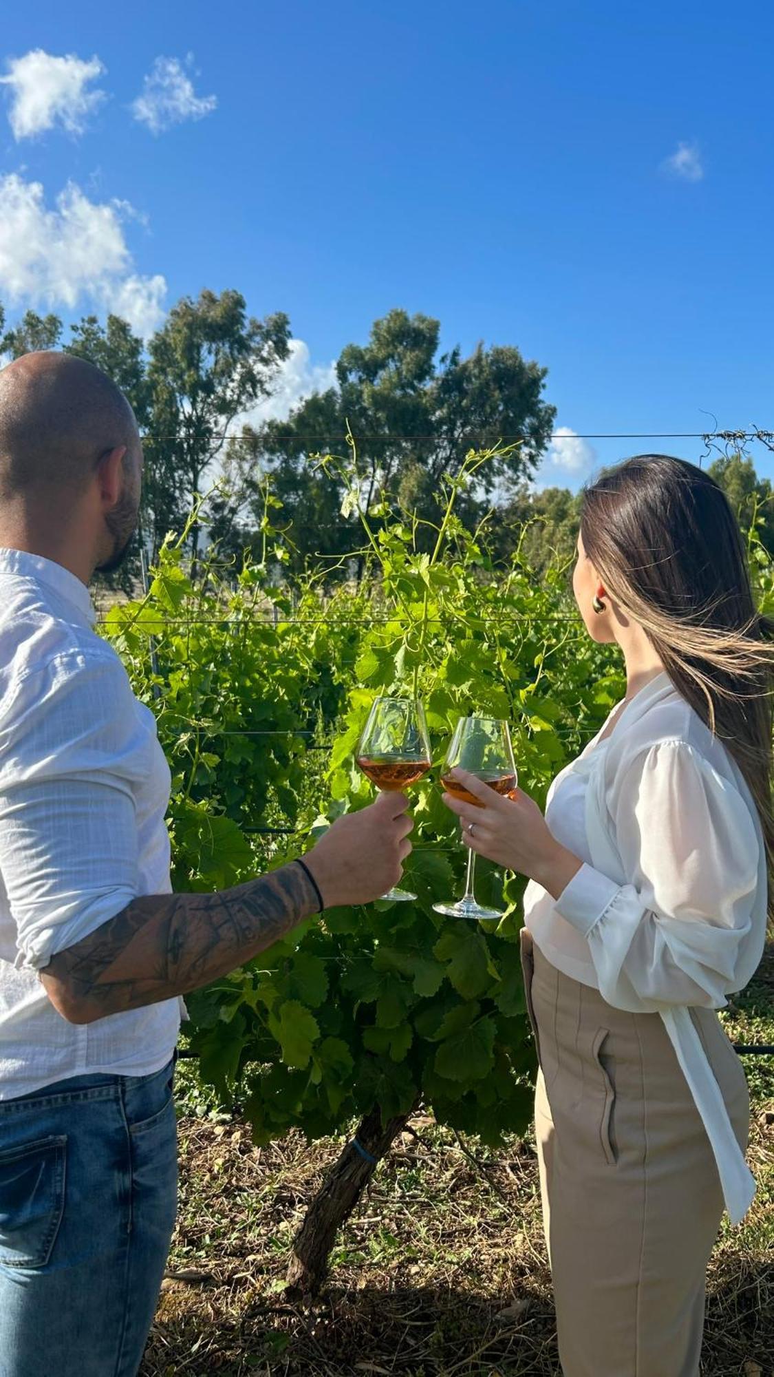 Is Cheas Wine Farm Boutique Hotel San Vero Milis Eksteriør bilde